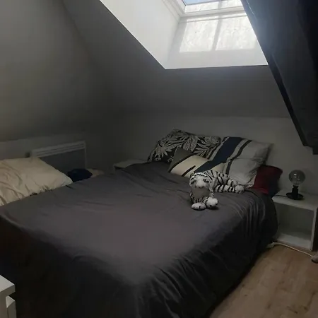 Duplex Cosy Au Centre Périgueux