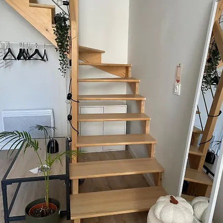 Apartament Duplex Cosy Au Centre *